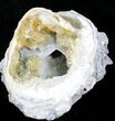 Calcite Crystal Filled Fossil Clam - Fluoresces Under UV #26850-2